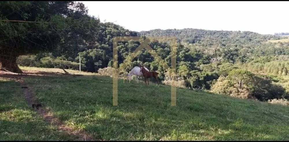 Sítio, 2 quartos, 7 m² - Foto 7