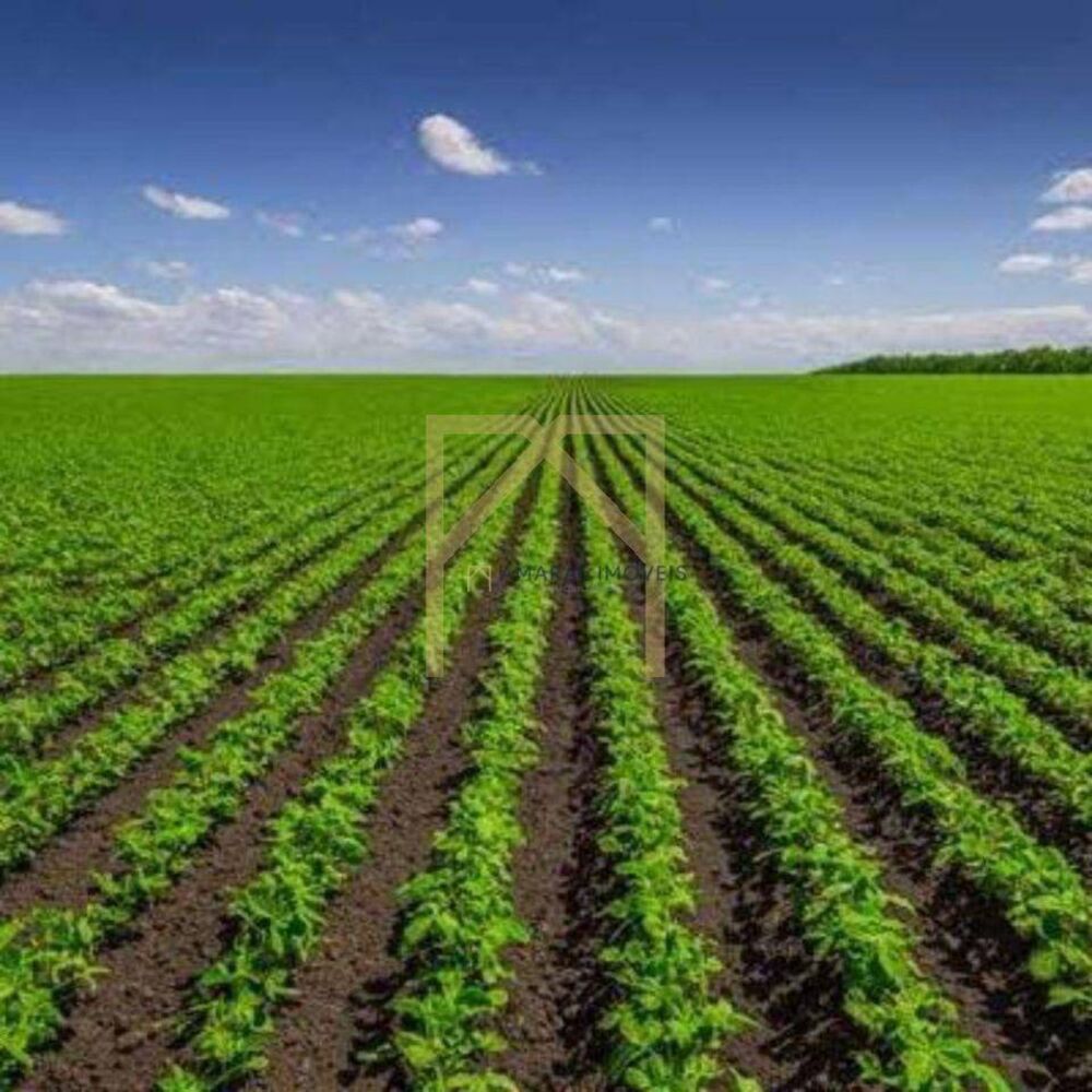 Fazenda à venda, 102M2 - Foto 7
