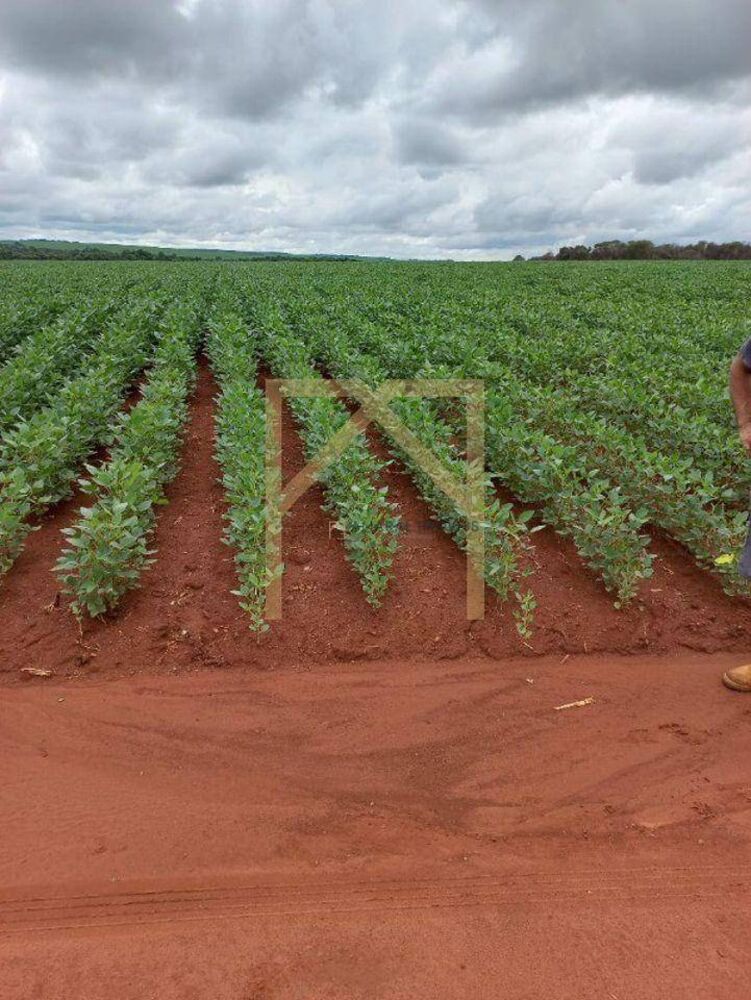 Fazenda à venda, 102M2 - Foto 2