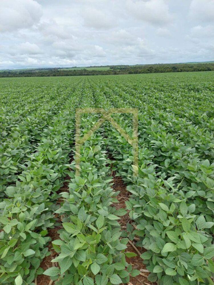 Fazenda à venda, 102M2 - Foto 3