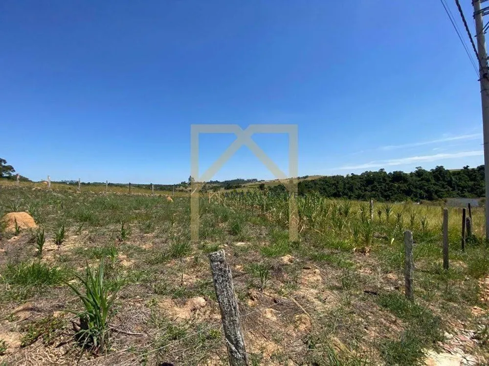 Terreno, 1503 m² - Foto 6