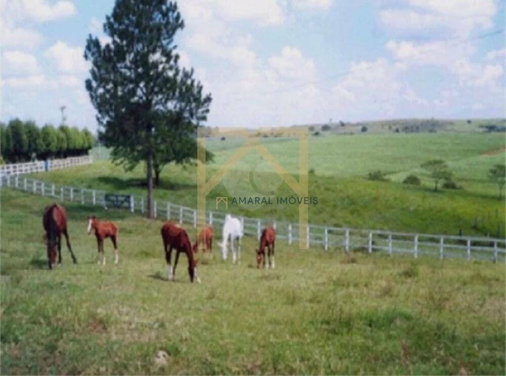 Haras e Área Rural Padrão à venda com 10 quartos, 20000m² - Foto 2