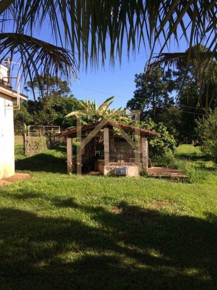Chácara, 3 quartos, 5000 m² - Foto 5