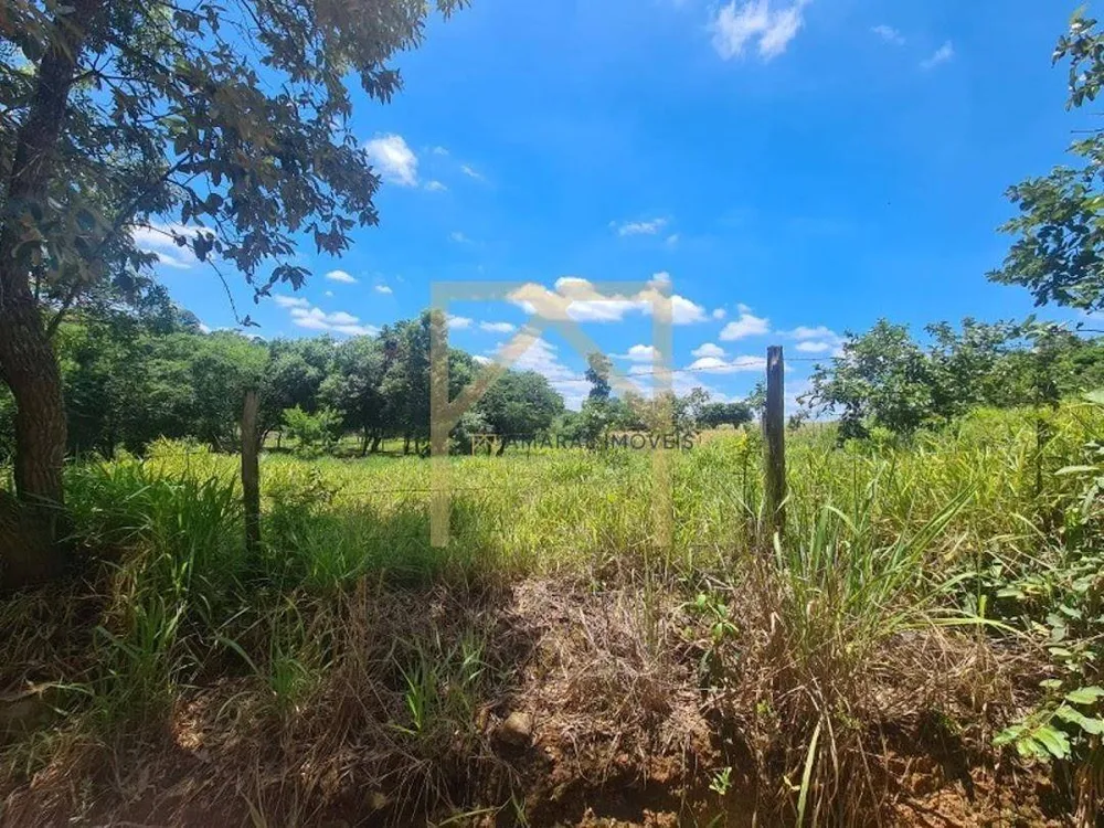 Terreno, 6000 m² - Foto 6