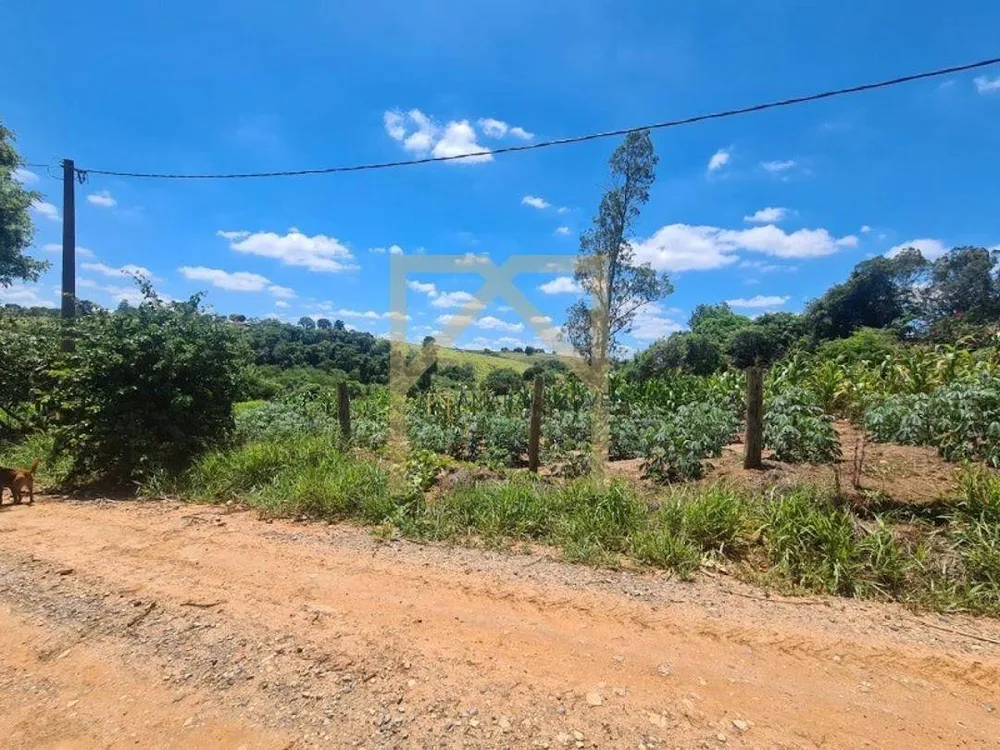 Terreno, 6000 m² - Foto 7