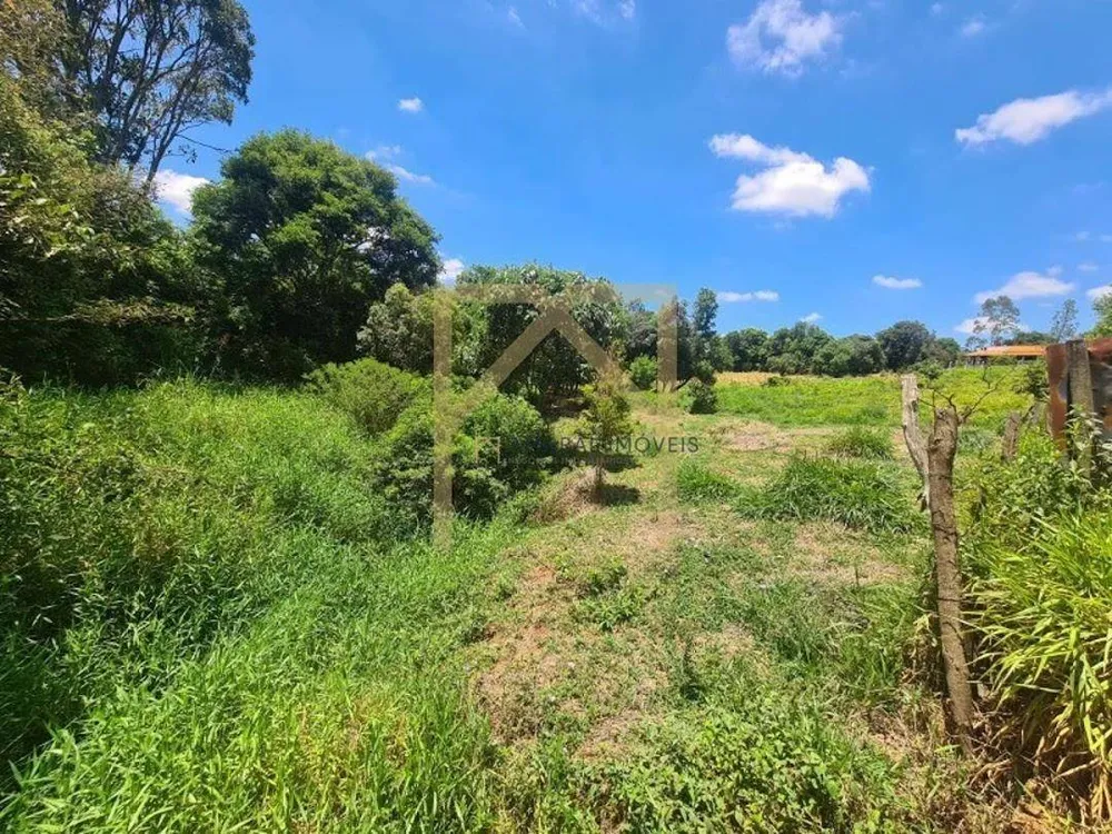 Terreno, 6000 m² - Foto 5