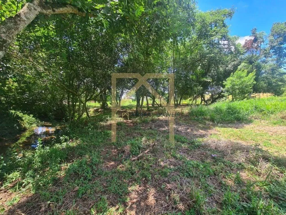Terreno, 6000 m² - Foto 2