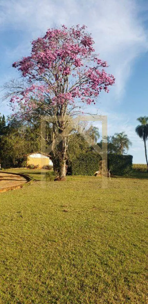 Fazenda, 13 m² - Foto 3