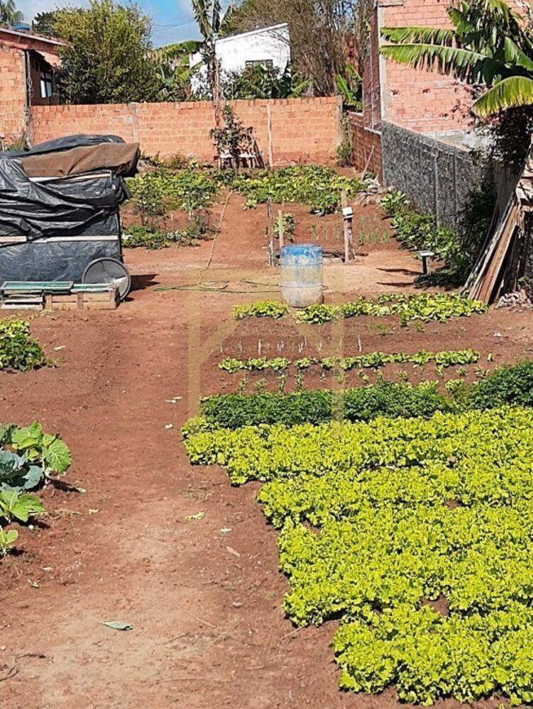 Terreno, 500 m² - Foto 6