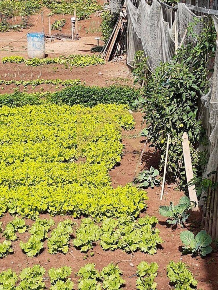 Terreno, 500 m² - Foto 4