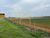 Fazenda-Sítio-Chácara - Foto 1