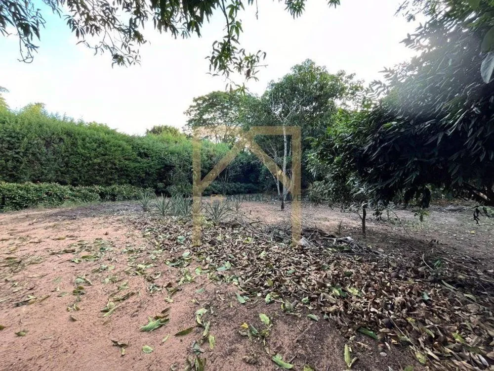 Chácara, 3 quartos, 4000 m² - Foto 3