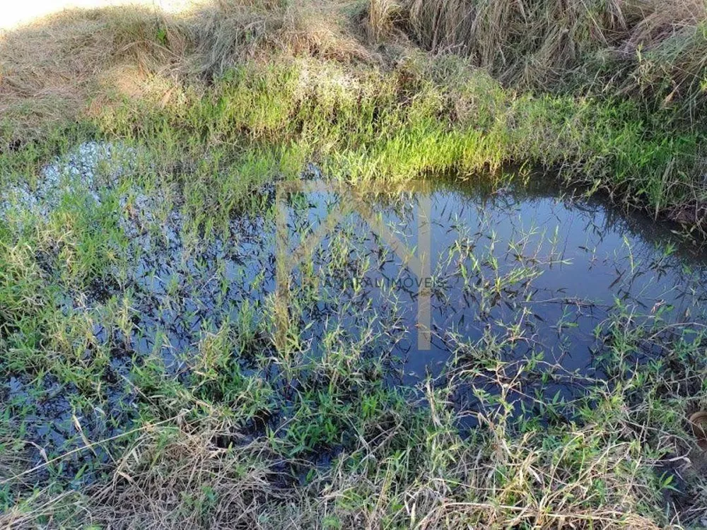 Terreno, 1 hectares - Foto 7