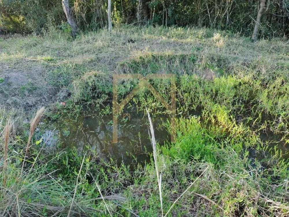 Terreno, 1 hectares - Foto 5