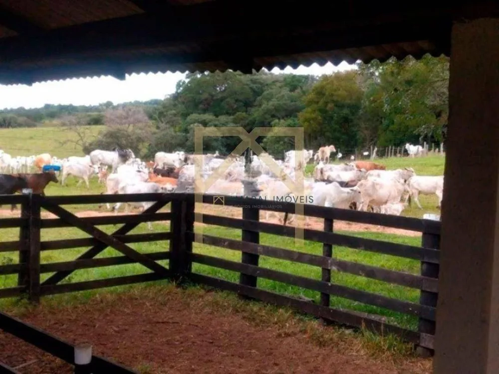 Fazenda, 3 quartos - Foto 6