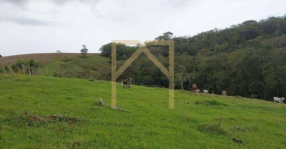 Sítio à venda com 2 quartos, 150m² - Foto 1