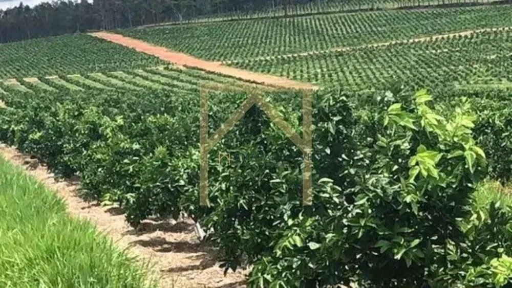 Fazenda, 953 m² - Foto 4