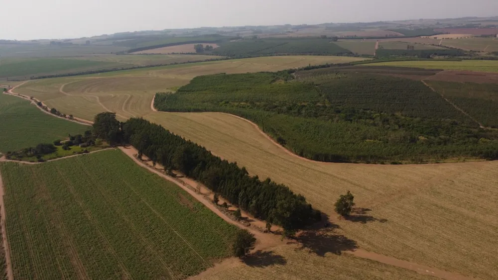 Fazenda, 169 hectares - Foto 8