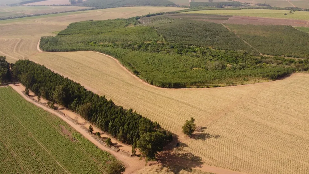 Fazenda, 169 hectares - Foto 3