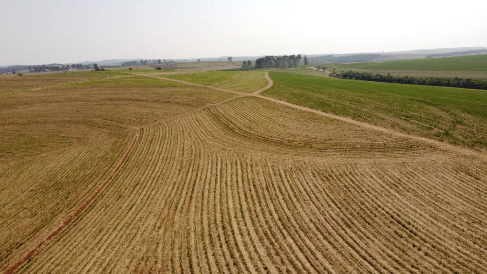 Fazenda, 169 hectares - Foto 1