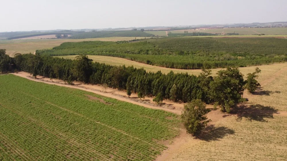 Fazenda, 169 hectares - Foto 2
