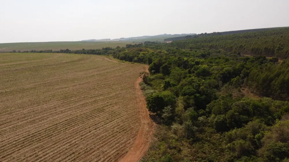 Fazenda, 169 hectares - Foto 6