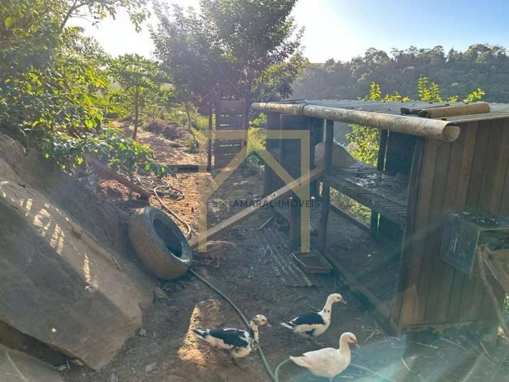 Sítio, 3 quartos, 2 hectares - Foto 13