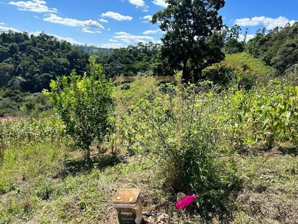 Sítio, 3 quartos, 2 hectares - Foto 15
