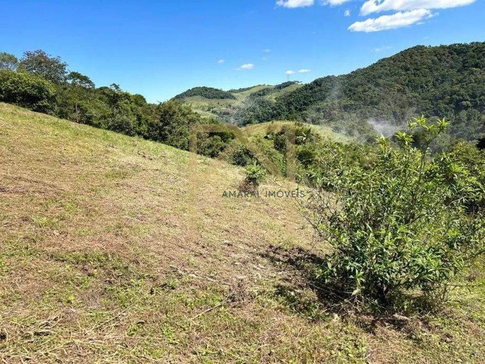 Sítio, 3 quartos, 2 hectares - Foto 16