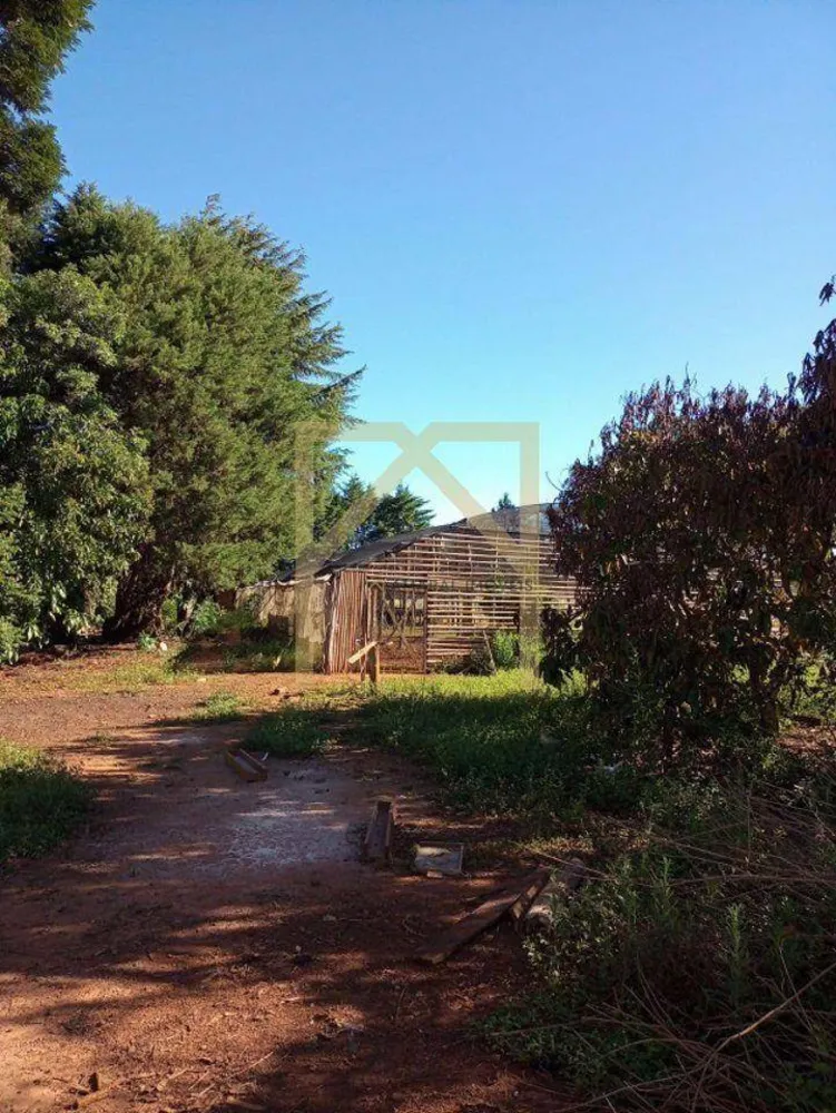 Sítio, 6 quartos, 2 hectares - Foto 7