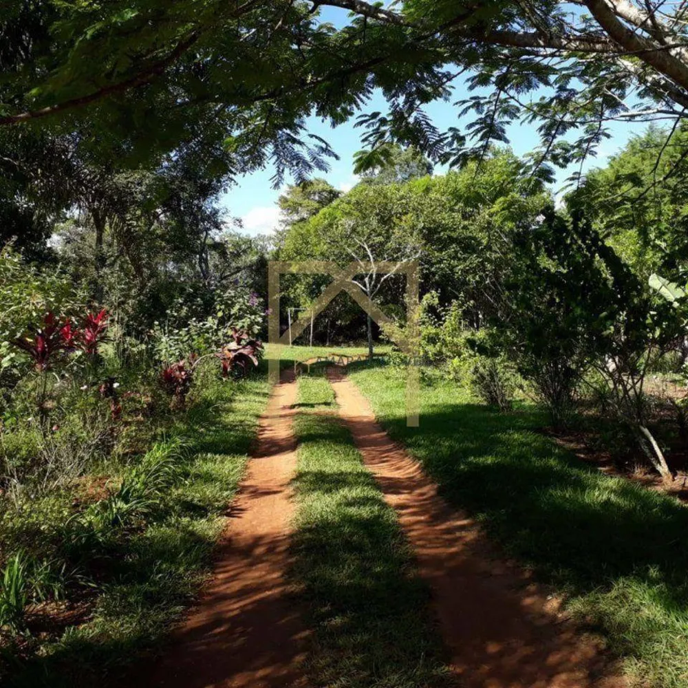 Sítio, 6 quartos, 2 hectares - Foto 9
