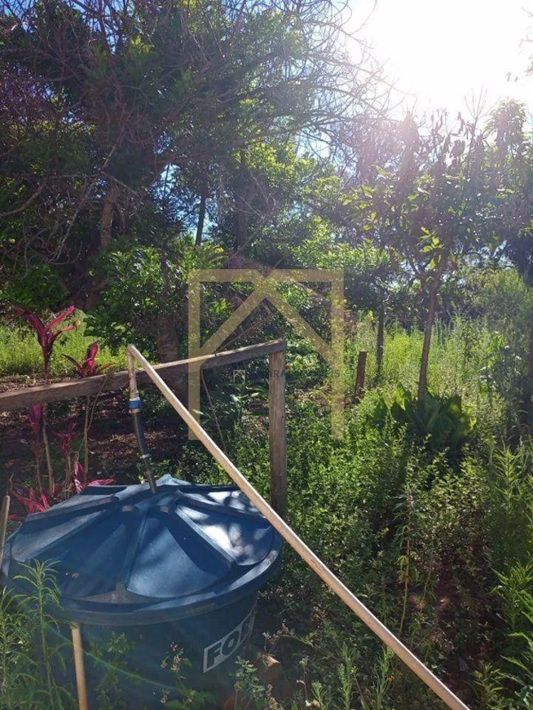 Sítio, 6 quartos, 2 hectares - Foto 15