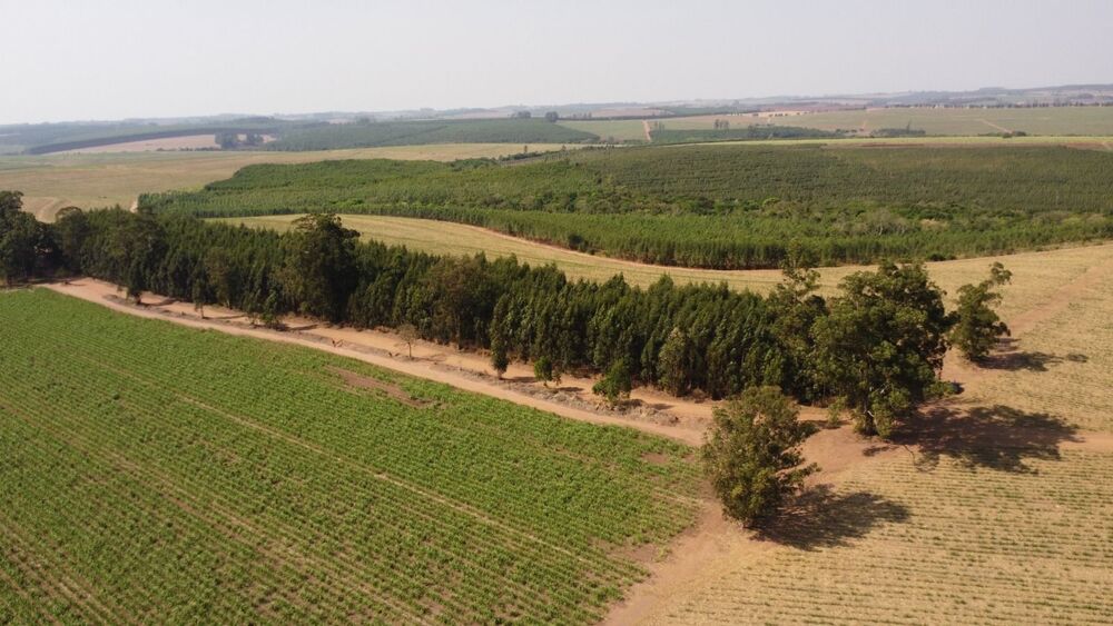 Fazenda, 169 hectares - Foto 3