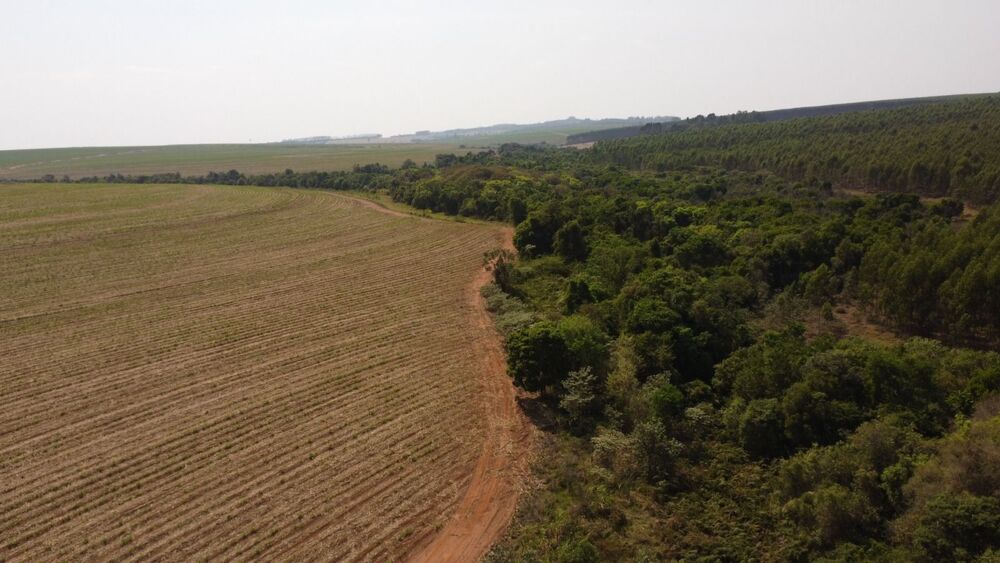 Fazenda, 169 hectares - Foto 2