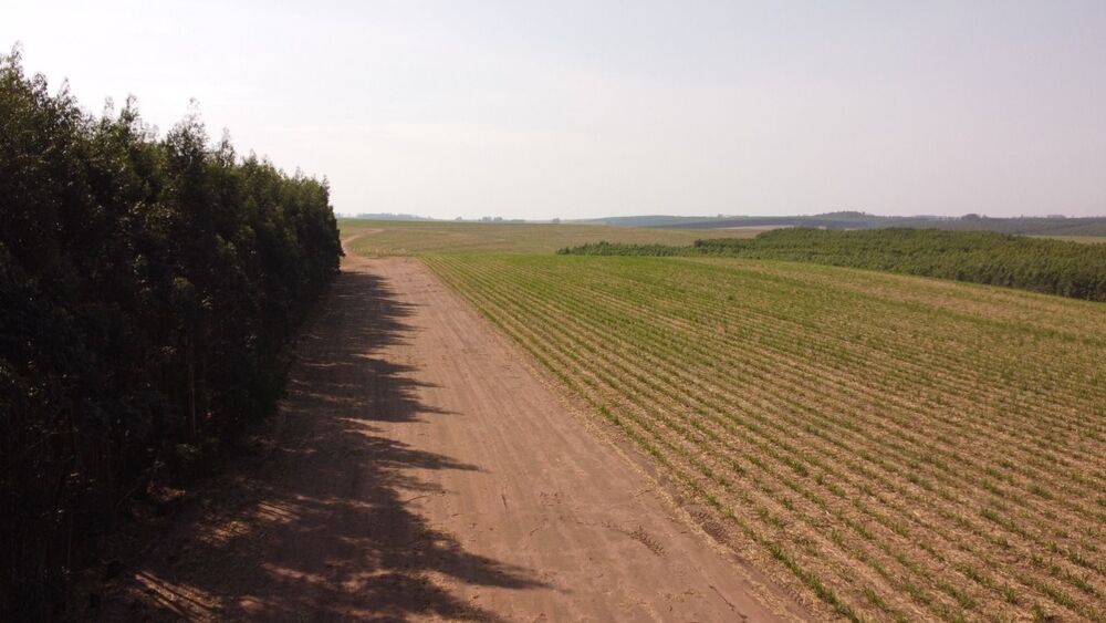 Fazenda, 169 hectares - Foto 1