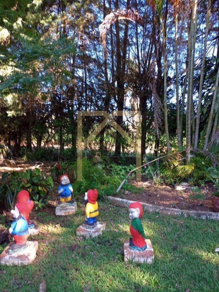 Chácara, 6 quartos, 2 hectares - Foto 7