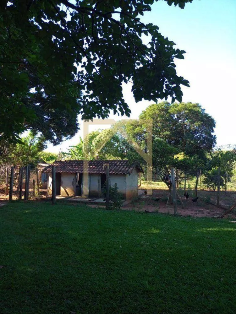 Chácara, 6 quartos, 2 hectares - Foto 12