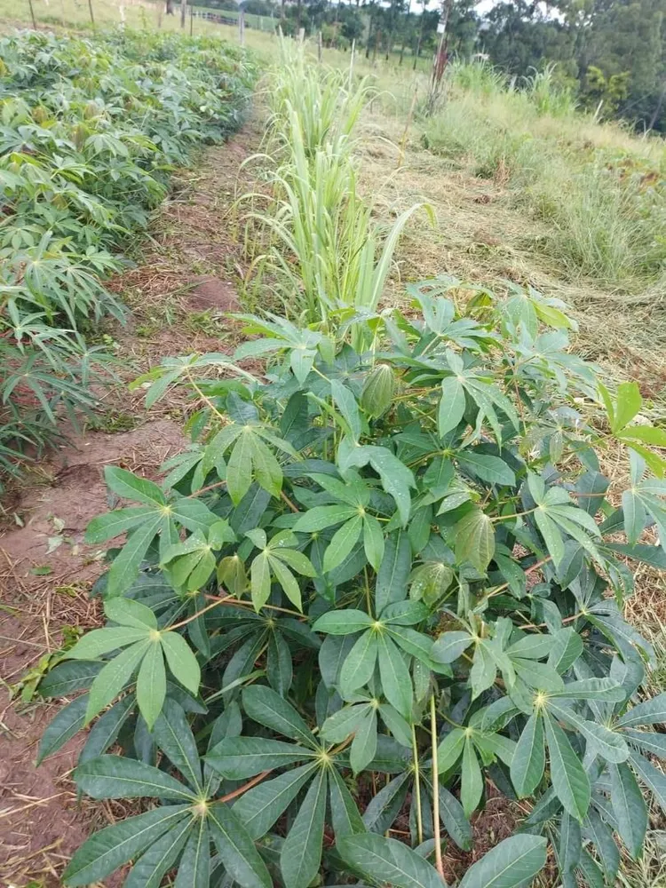 Terreno, 1 m² - Foto 5