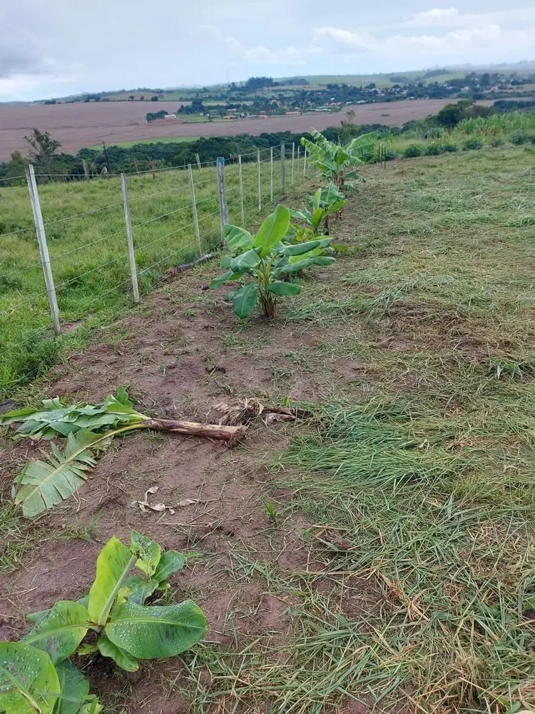 Terreno, 1 m² - Foto 3