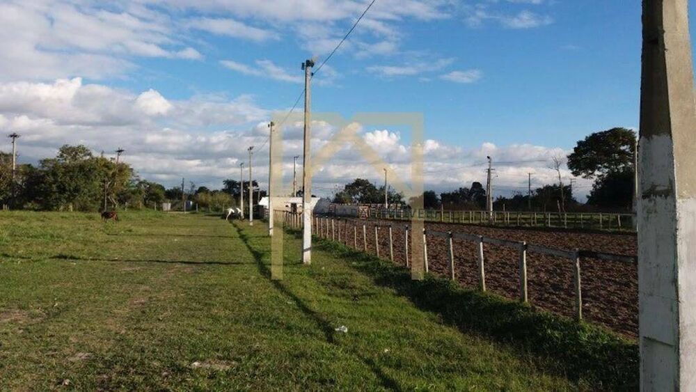 Haras e Área Rural Padrão à venda com 3 quartos, 3M2 - Foto 5