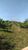 Chácara, 3 quartos, 5 hectares - Foto 4