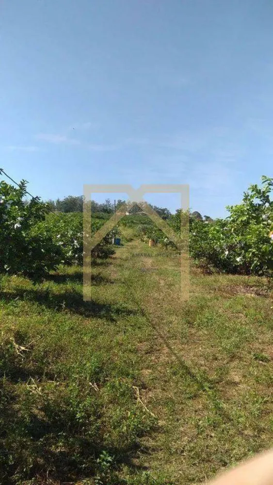 Sítio, 3 quartos, 5 hectares - Foto 9