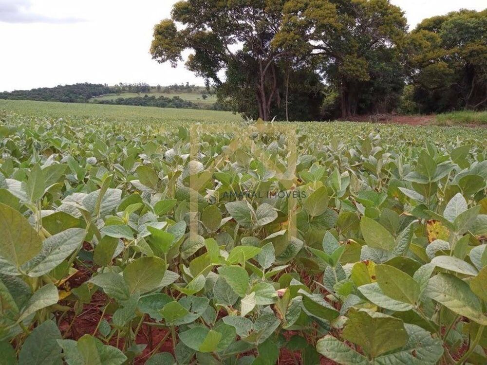 Fazenda, 11 m² - Foto 1