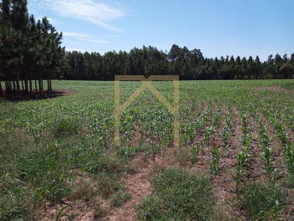 Fazenda, 11 m² - Foto 7