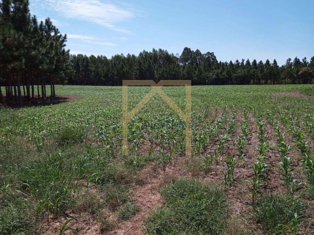 Fazenda, 11 m² - Foto 5