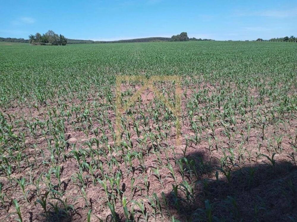 Fazenda, 11 m² - Foto 6