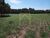 Fazenda-Sítio-Chácara, 11 m² - Foto 5