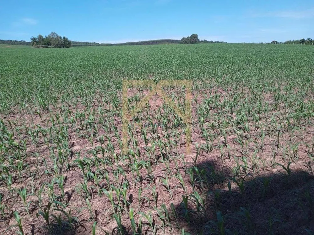 Fazenda, 11 m² - Foto 2