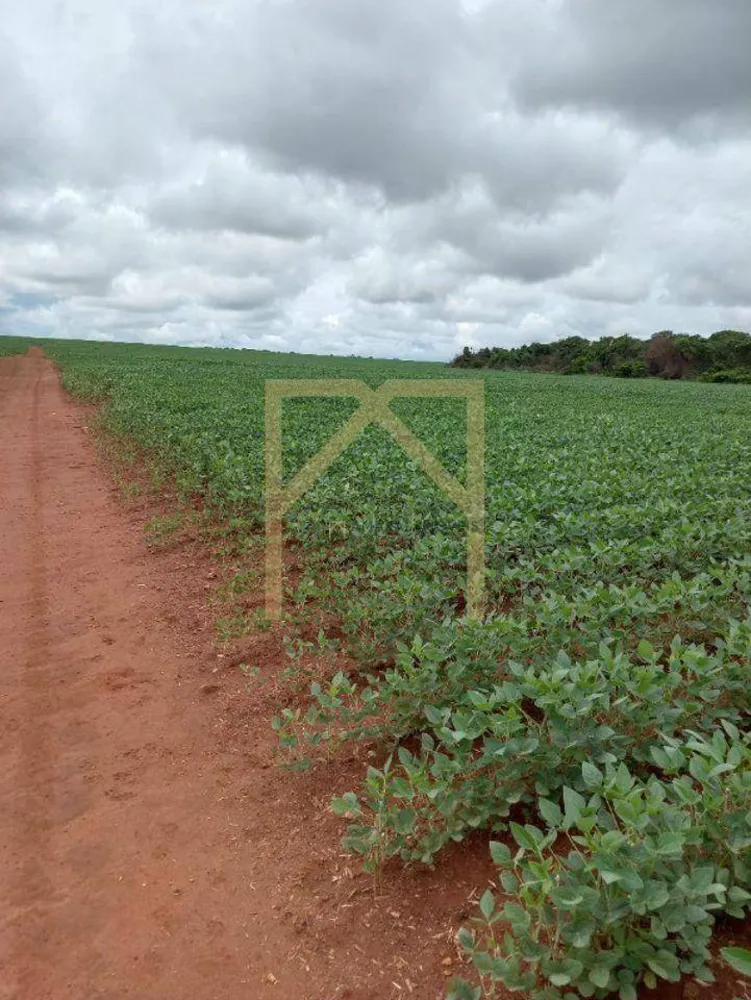 Fazenda, 102 m² - Foto 4