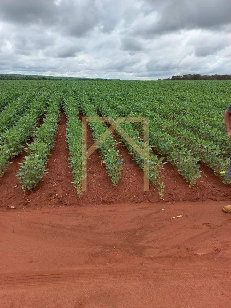 Fazenda, 102 m² - Foto 2